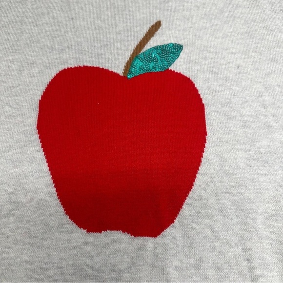 J.Crew factory teddy teacher Apple Design gray Sweater nwt sz M - Picture 8 of 13